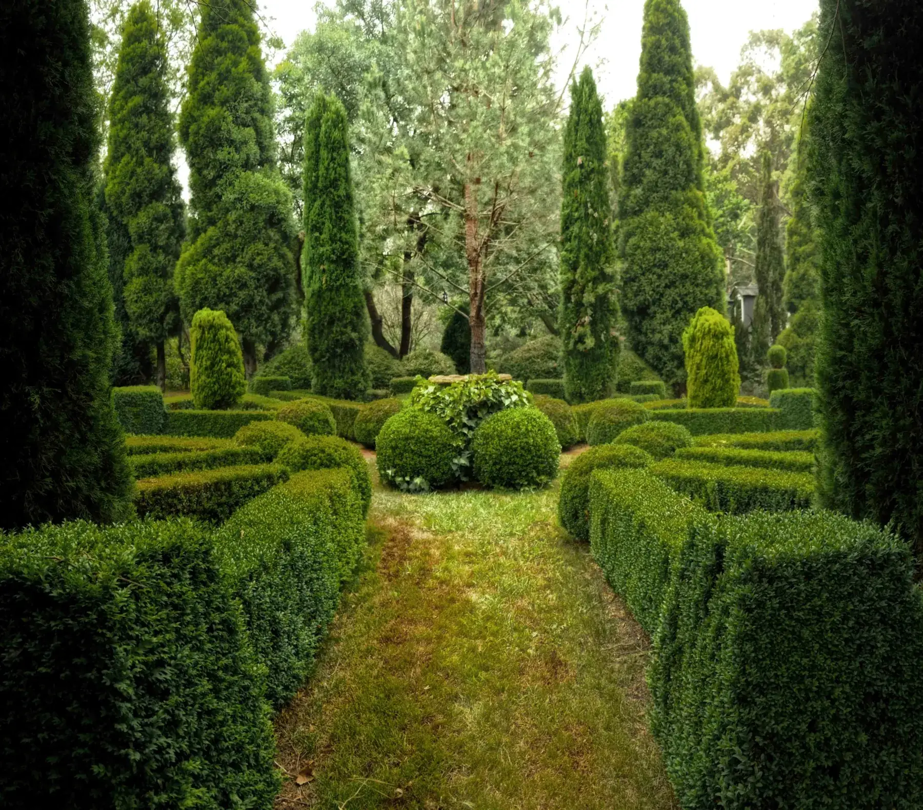 Formschnitthecken in einer gepflegten Gartenanlage